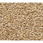 Солод Курский (светлый) PILSNER 1,0 кг