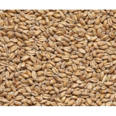 Солод Курский пшеничный (wheat) 1.0 кг